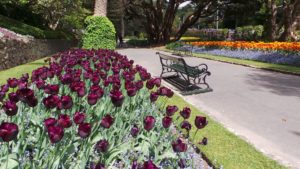 Gärten in Wellington