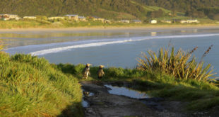 Region Southland und Steward Island in Neuseeland