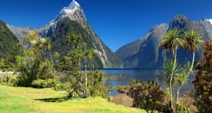 Naturschutz in Neuseeland